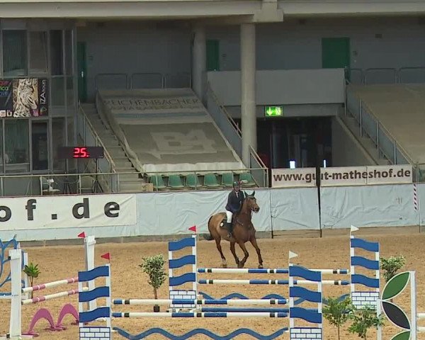 Reitturnier Kreuth 2023