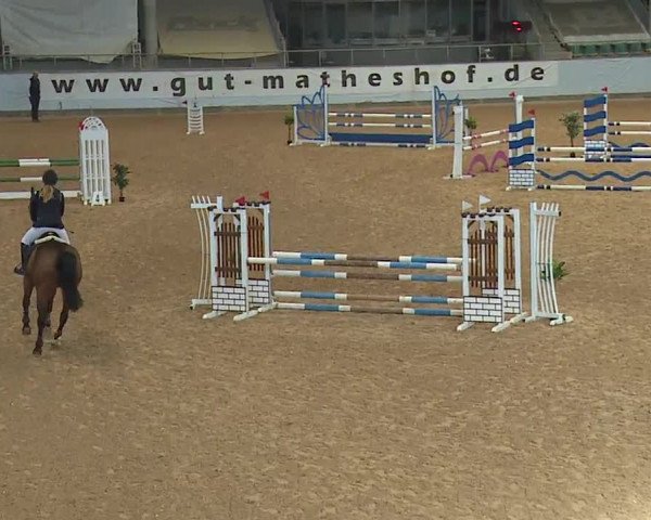 Reitturnier Kreuth 2023
