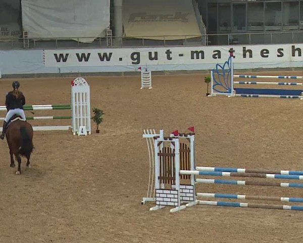 Reitturnier Kreuth 2023