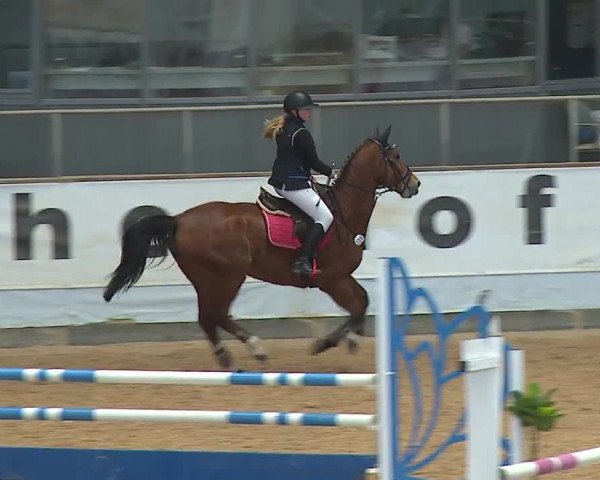 Reitturnier Kreuth 2023