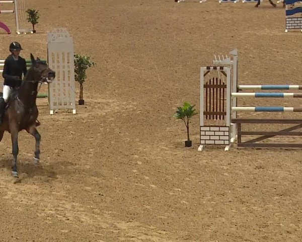Reitturnier Kreuth 2023