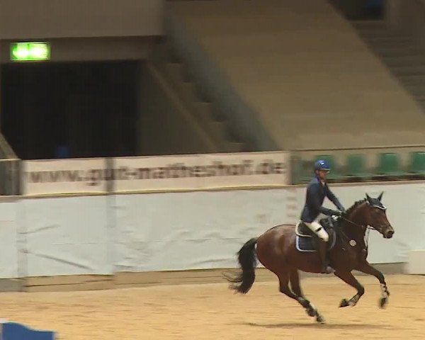 Reitturnier Kreuth 2023