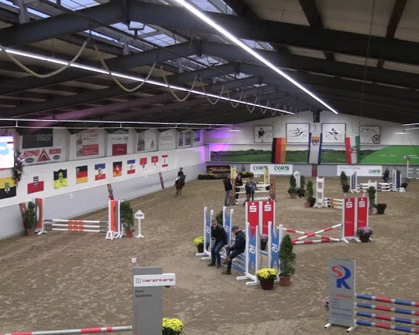 Reitturnier Legden | Ponyturnier 2023
