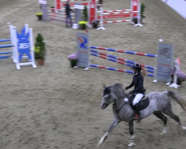 Reitturnier Legden | Ponyturnier 2023