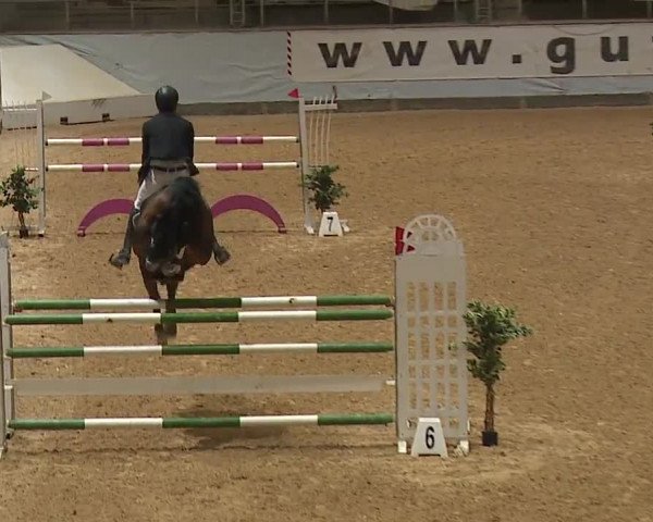 Reitturnier Kreuth 2023