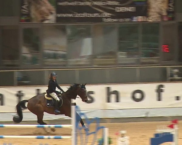 Reitturnier Kreuth 2023
