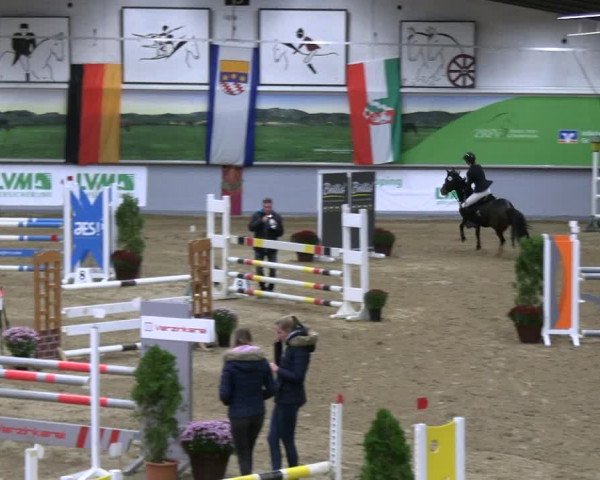 Reitturnier Legden | Ponyturnier 2023