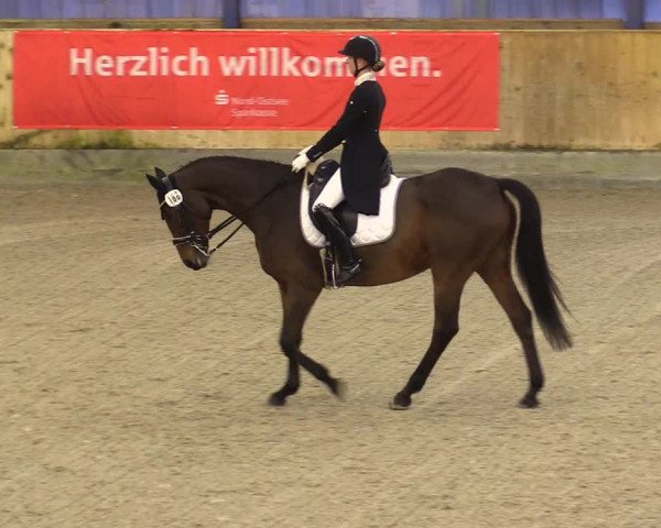 Reitturnier Großenwiehe 2023