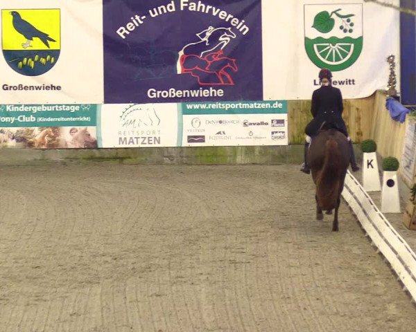 Reitturnier Großenwiehe 2023