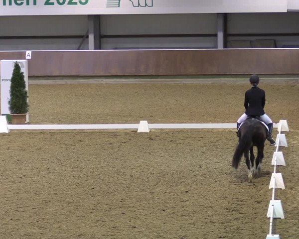 Reitturnier Gahlen 2023