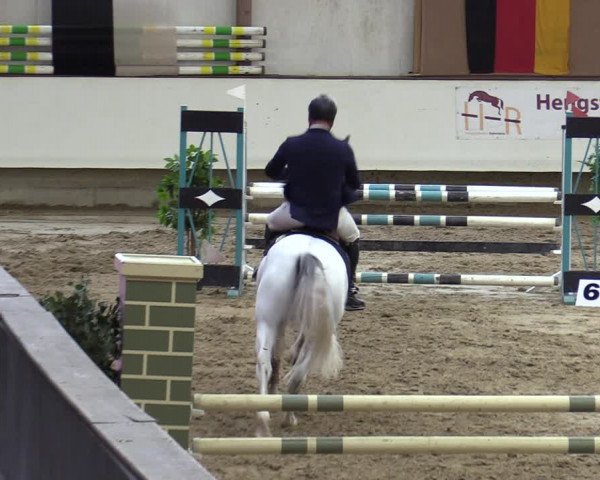 Reitturnier Marl, Reithalle Rohmann 2023