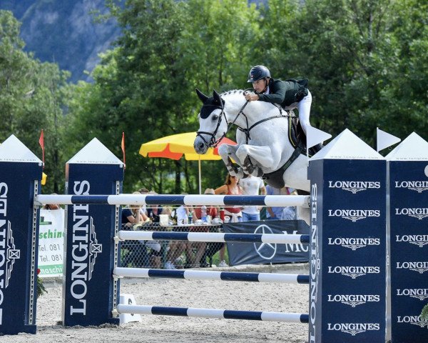 Springpferd Walk For Me Kzi CH (Schweizer Warmblut, 2006, von Cornet Obolensky)