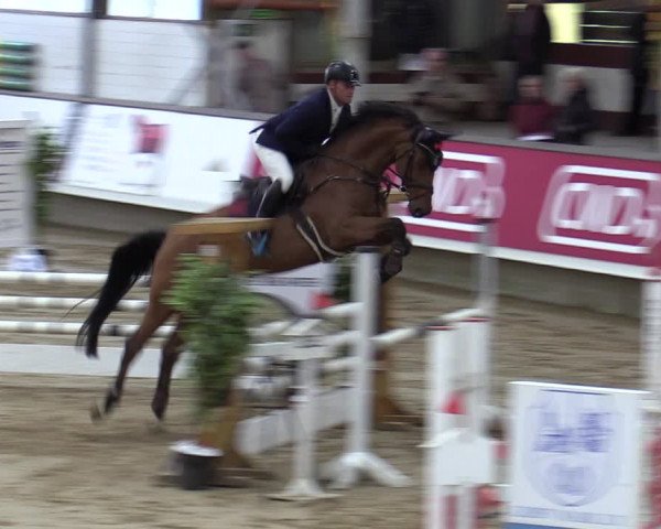 Reitturnier Marl, Reithalle Rohmann 2023