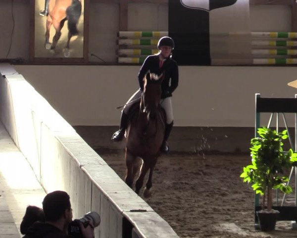 Reitturnier Marl, Reithalle Rohmann 2023