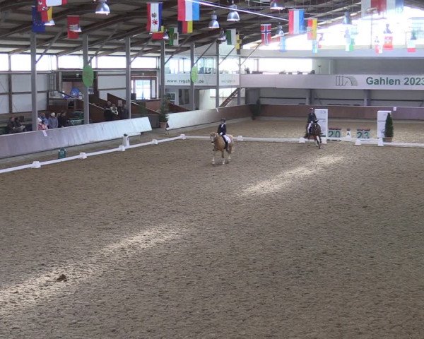 Reitturnier Gahlen 2023