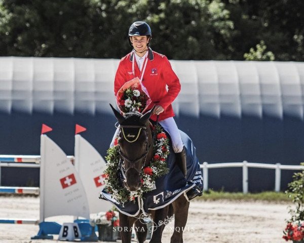 jumper Ibiza (KWPN (Royal Dutch Sporthorse), 2013, from I'm Special de Muze)