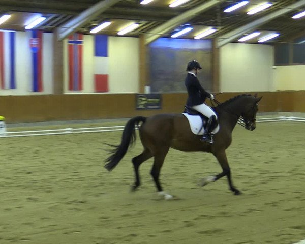 Reitturnier Weikersdorf am Steinfelde 2023