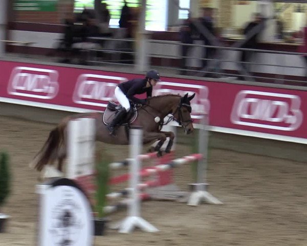 Reitturnier Marl, Reithalle Rohmann 2023