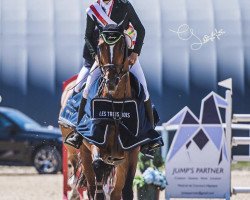 broodmare For Me V Wichenstein CH (Swiss Warmblood, 2004, from For Pleasure)
