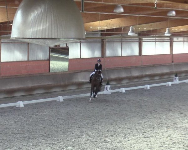 Reitturnier Tremsdorf, Eichenhof 2023