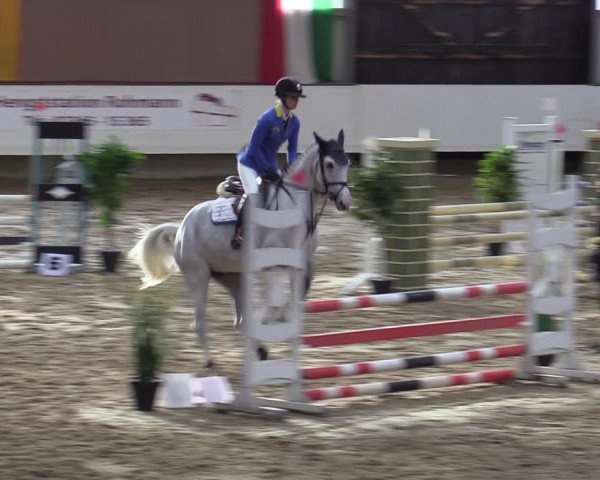 Equestrian Show Marl, Reithalle Rohmann 2023