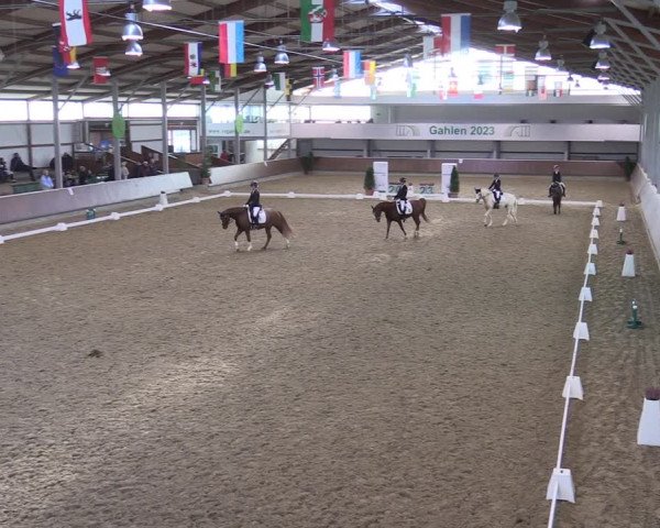 Reitturnier Gahlen 2023