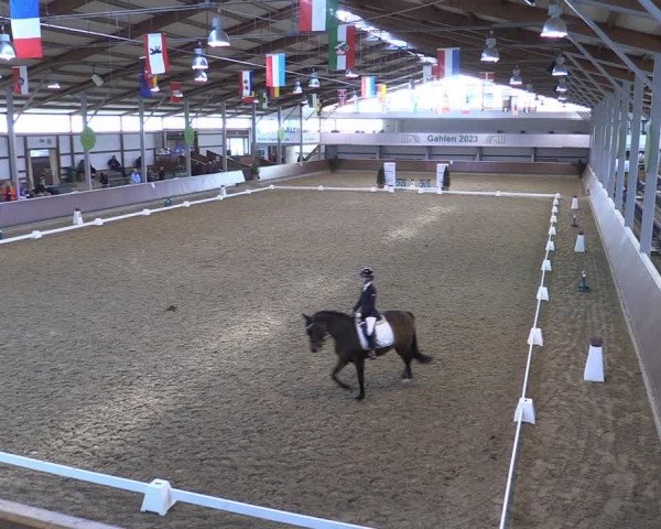 Reitturnier Gahlen 2023