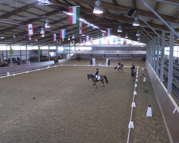 Reitturnier Gahlen 2023