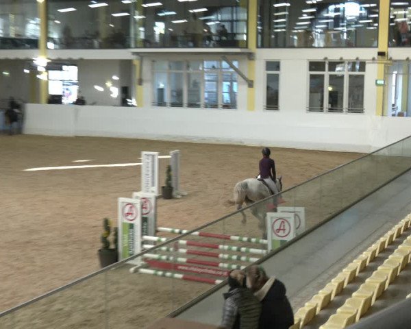 Springturnier Stadl Paura 2023
