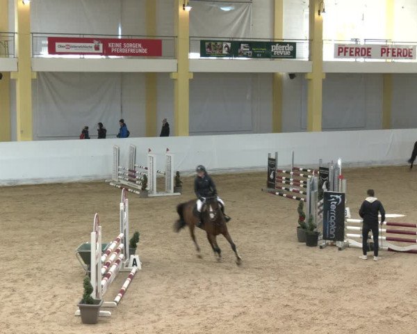 Springturnier Stadl Paura 2023