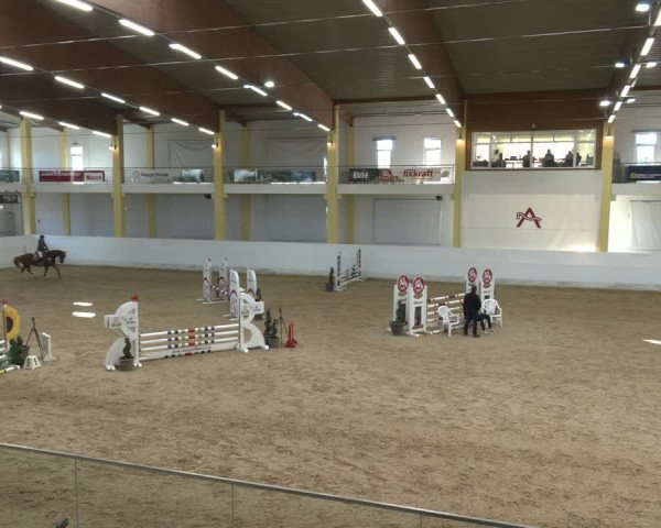 Springturnier Stadl Paura 2023