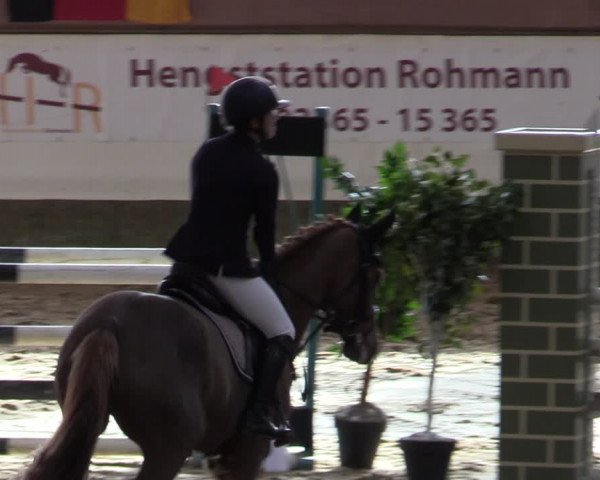 Reitturnier Marl, Reithalle Rohmann 2023