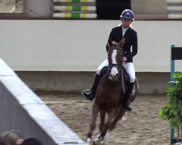 Reitturnier Marl, Reithalle Rohmann 2023