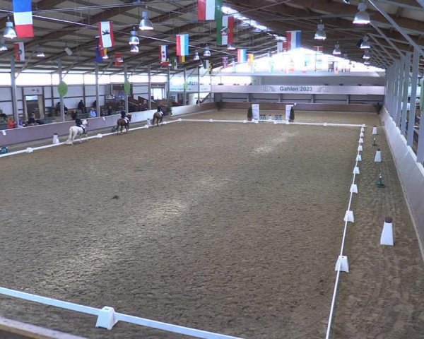 Reitturnier Gahlen 2023