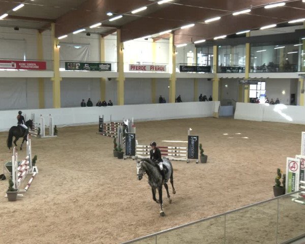 Springturnier Stadl Paura 2023