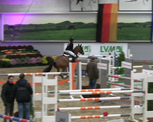 Reitturnier Legden | Ponyturnier 2023