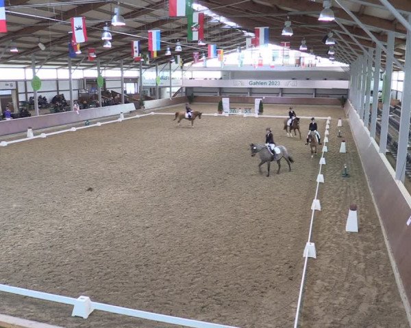 Reitturnier Gahlen 2023