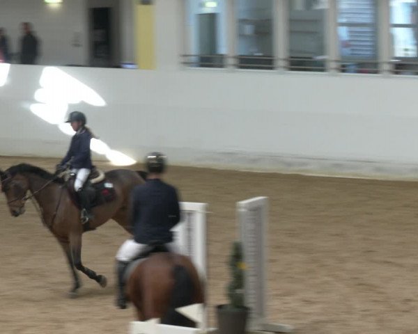 Springturnier Stadl Paura 2023