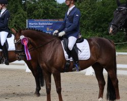 dressage horse Donna Dacapria B (Hanoverian, 2007, from Dacaprio)