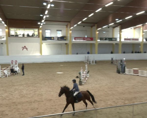 Springturnier Stadl Paura 2023