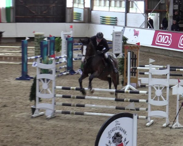 Reitturnier Marl, Reithalle Rohmann 2023