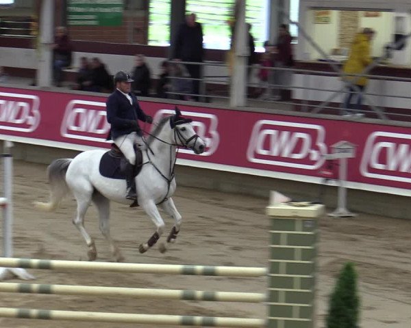 Reitturnier Marl, Reithalle Rohmann 2023