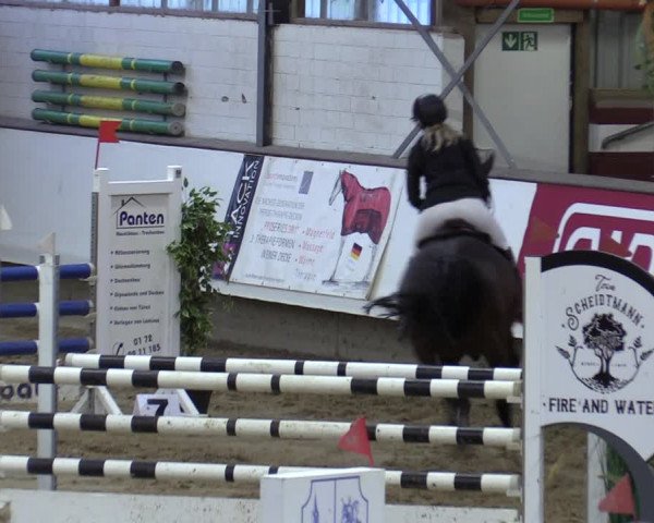 Reitturnier Marl, Reithalle Rohmann 2023