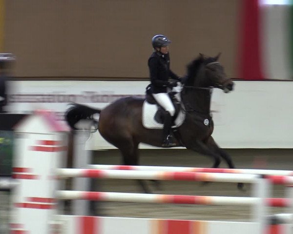Reitturnier Marl, Reithalle Rohmann 2023