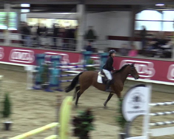 Reitturnier Marl, Reithalle Rohmann 2023