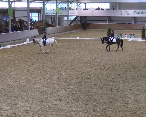 Reitturnier Gahlen 2023
