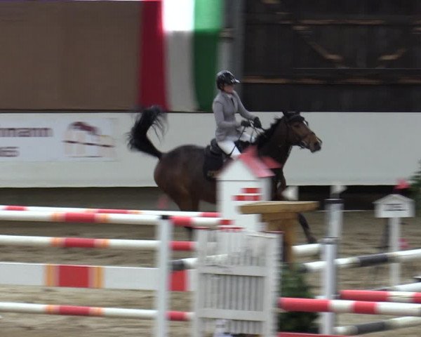 Reitturnier Marl, Reithalle Rohmann 2023