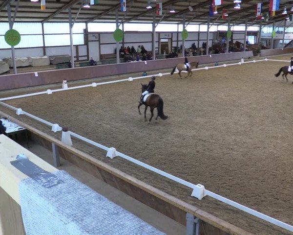 Reitturnier Gahlen 2023