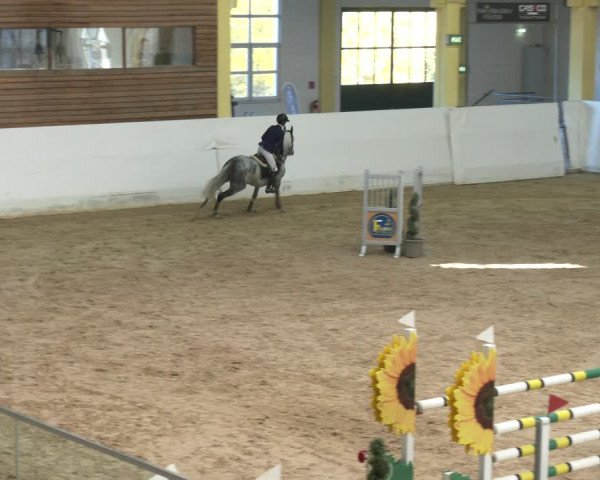 Springturnier Stadl Paura 2023