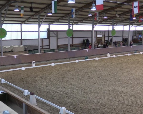 Reitturnier Gahlen 2023